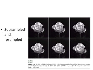 • Subsampled
and
resampled
 