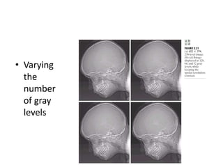 • Varying
the
number
of gray
levels
 