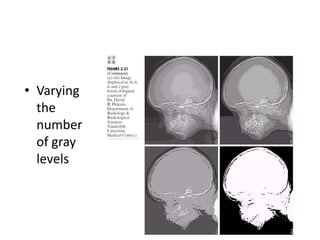 • Varying
the
number
of gray
levels
 