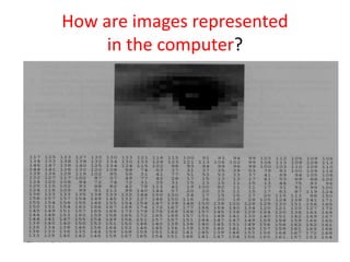 How are images represented
in the computer?
 