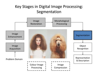Key Stages in Digital Image Processing:
Segmentation
Image
Acquisition
Image
Restoration
Morphological
Processing
Segmentation
Representation
& Description
Image
Enhancement
Object
Recognition
Problem Domain
Colour Image
Processing
Image
Compression
 