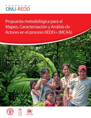 Propuesta metodológica para el
Mapeo, Caracterización y Análisis de
Actores en el proceso REDD+ (MCAA)
 
