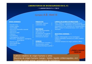 LABORATORIOS DE BIOSEGURIDAD EN EL IC:
• 1 LABORATORIOS P-2 / CSB II
Ejemplos A.B. nivel II:
¡¡ NUNCA SANGRE
PROPIA!!
Cultivos celulares de origen humano o simio
Muestras de origen humano (sangre, tejidos, líquido cefalorraquídeo, etc)
Tejidos de origen animal, procedentes de mataderos
VIRUS HUMANOS
• Vaccinia virus 2
• Herpes simplex 2
• Virus Sindbis 2
• Virus de la estomatitis vesicular 2
• Adenovirus 2
• Virus de la gripe 2
• Poliovirus 2
• Encefalovirus 2
• Citomegalovirus humano 2
• Retrovirus: anfotrópicos, ecotrópicos,
xenotrópicos 2
• Reovirus tipo 3 2
• Virus Epstein Barr 2
• Baculovirus 1
PARASITOS
Leishmania infantum 2
Leishmania major 2
BACTERIAS
Legionella pneumophila 2
Salmonella ssp. 2
Pseudomonas aeruginosa 2
Escherichia coli (EPEC) 2
Enterococcus faecium 2
HONGOS
Saccharomyces cerevisiae 1
Saccharomyces pombe 1
Schizosaccharomyces pombe 1
LINEAS CELULARES ESTABLECIDAS 2
HeLa /HMy2-C1r (humanas)/ Daudi (humana)/
143B (humana)/ Hibridomas /T2 (humana) HEK293
(humana)/CV-1/Cos (simio)/U-937 (humana)/RMA y
RMA/s (ratón)/T2 (humana)Células COS7/ Jurkat
(humana)
MUESTRAS HUMANAS 2
Timo
Liquido cefaloraquideo (Corea Huntington)
Células endoteliales humanas de cordón umbilical
(HUVECs)
Linfocitos humanos de sangre periférica (PBLs)
 