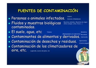 FUENTES DE CONTAMINACIFUENTES DE CONTAMINACIÓÓNN
Personas o animales infectados.Personas o animales infectados.
Fluidos y muestras biolFluidos y muestras biolóógicasgicas
contaminadas.contaminadas.
El suelo, agua,El suelo, agua, etcetc
Contaminantes de alimentos y derivados.Contaminantes de alimentos y derivados.
ContaminaciContaminacióón de desechos y residuos.n de desechos y residuos.
ContaminaciContaminacióón de los climatizadores den de los climatizadores de
aire, etc.aire, etc.
Catarro
Zoonosis (Hidatidosis)
Muestras animales, Muestras de origen
clínico (sangre, orina, heces...)
Tétanos Botulismo
Brucelosis
Salmonella
Oportunistas
(Control plagas)
Legionella, ácaros del polvo, etc
(Manipuladores de alimentos)
 
