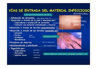 •• InhalaciInhalacióón de aerosolesn de aerosoles
•• AbsorciAbsorcióónn a trava travéés de la piel o mucosass de la piel o mucosas por:por:
salpicaduras o produccisalpicaduras o produccióón de aerosolesn de aerosoles
contacto con material contaminado y vcontacto con material contaminado y vííscerassceras
••AbsorciAbsorcióónn a trava travéés des de heridasheridas preexistentespreexistentes
••AbsorciAbsorcióónn a trava travéés de las heridass de las heridas causadas porcausadas por::
abrasiabrasióónn
CortesCortes
AraAraññazosazos
MordedurasMordeduras
••Picaduras de insectosPicaduras de insectos
••AutoinoculaciAutoinoculacióónn o pinchazoso pinchazos
•• IngestiIngestióón por:n por:
salpicadurassalpicaduras
derramesderrames
pipeteopipeteo bucalbucal
VÍAS DE ENTRADA DEL MATERIAL INFECCIOSO
micoplasmas
Rabia
Brucelosis
tuberculosis, gripe, etc
Botulismo
Brucelosis
Salmonella
Hepatits A
Hábitos higiénicas inadecuados, onicofagia, fumadores, etc
-RESPIRATORIA
-DÉRMICA
(PARENTERAL)
-DIGESTIVA
flora
gangrena
Fiebre Q (garrapata)
Sida, Hepatitis B y C
Control de la formación de aerosoles
Utilización de EPI´s
 