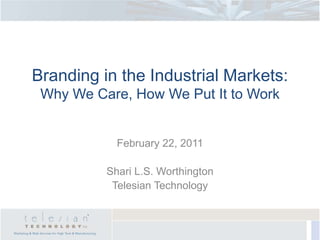 Branding in the Industrial Markets:
 Why We Care, How We Put It to Work


            February 22, 2011

          Shari L.S. Worthington
           Telesian Technology
 