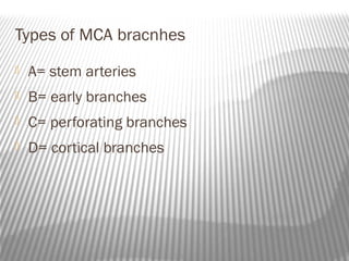 Types of MCA bracnhes
   A= stem arteries
   B= early branches
   C= perforating branches
   D= cortical branches
 