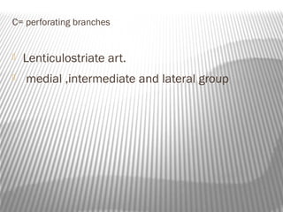 C= perforating branches


   Lenticulostriate art.
   medial ,intermediate and lateral group
 