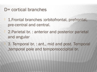 D= cortical branches
   1.Frontal branches :orbitofrontal, prefrontal,
    pre-central and central.
   2.Parietal br. : anterior and posterior parietal
    and angular
   3. Temporal br. : ant., mid and post. Temporal
    ,temporal pole and temporooccipital br.
 