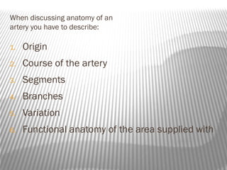 When discussing anatomy of an
artery you have to describe:

1.   Origin
2.   Course of the artery
3.   Segments
4.   Branches
5.   Variation
6.   Functional anatomy of the area supplied with
 