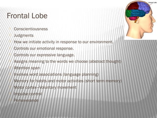 Frontal Lobe
   Conscientiousness
   Judgments
   How we initiate activity in response to our environment.
   Controls our emotional response.
   Controls our expressive language.
   Assigns meaning to the words we choose (abstract thought)
   Attention span
   Involves word associations (language planning)
   Memory for habits and motor activities (short term memory)
   Motor cortex—Voluntary movement
   Impulse control
   Perseverance
 