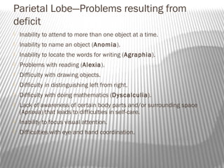 Parietal Lobe—Problems resulting from
deficit
   Inability to attend to more than one object at a time.
   Inability to name an object (Anomia).
   Inability to locate the words for writing (Agraphia).
   Problems with reading (Alexia).
   Difficulty with drawing objects.
   Difficulty in distinguishing left from right.
   Difficulty with doing mathematics (Dyscalculia).
   Lack of awareness of certain body parts and/or surrounding space
    (Apraxia) that leads to difficulties in self-care.
   Inability to focus visual attention.
   Difficulties with eye and hand coordination.
 