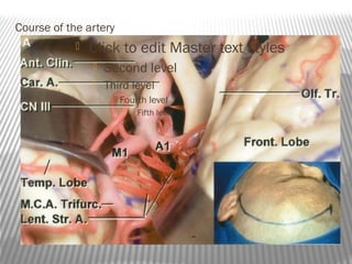 Course of the artery
               Click to edit Master text styles
                   Second level
                   Third level
                        Fourth level
                              Fifth level
 