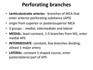 Perforating branches
• Lenticulostraite arteries - branches of MCA that
enter anterior perforating substance (APS)
• origin from superior or posterosuperior MCA
• 3 groups : medial, intermediate and lateral
• MEDIAL: least constant, 1-5 branches from M1, enter
medial APS
• INTERMEDIATE: constant, few branches dividing,
atleast 1 major artery
• LATERAL: constant S shaped course, enter
posterolateral part of APS
 