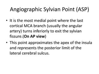 Angiographic Sylvian Point (ASP)
• It is the most medial point where the last
cortical MCA branch (usually the angular
artery) turns inferiorly to exit the sylvian
fissure.(On AP view)
• This point approximates the apex of the insula
and represents the posterior limit of the
lateral cerebral sulcus.
 