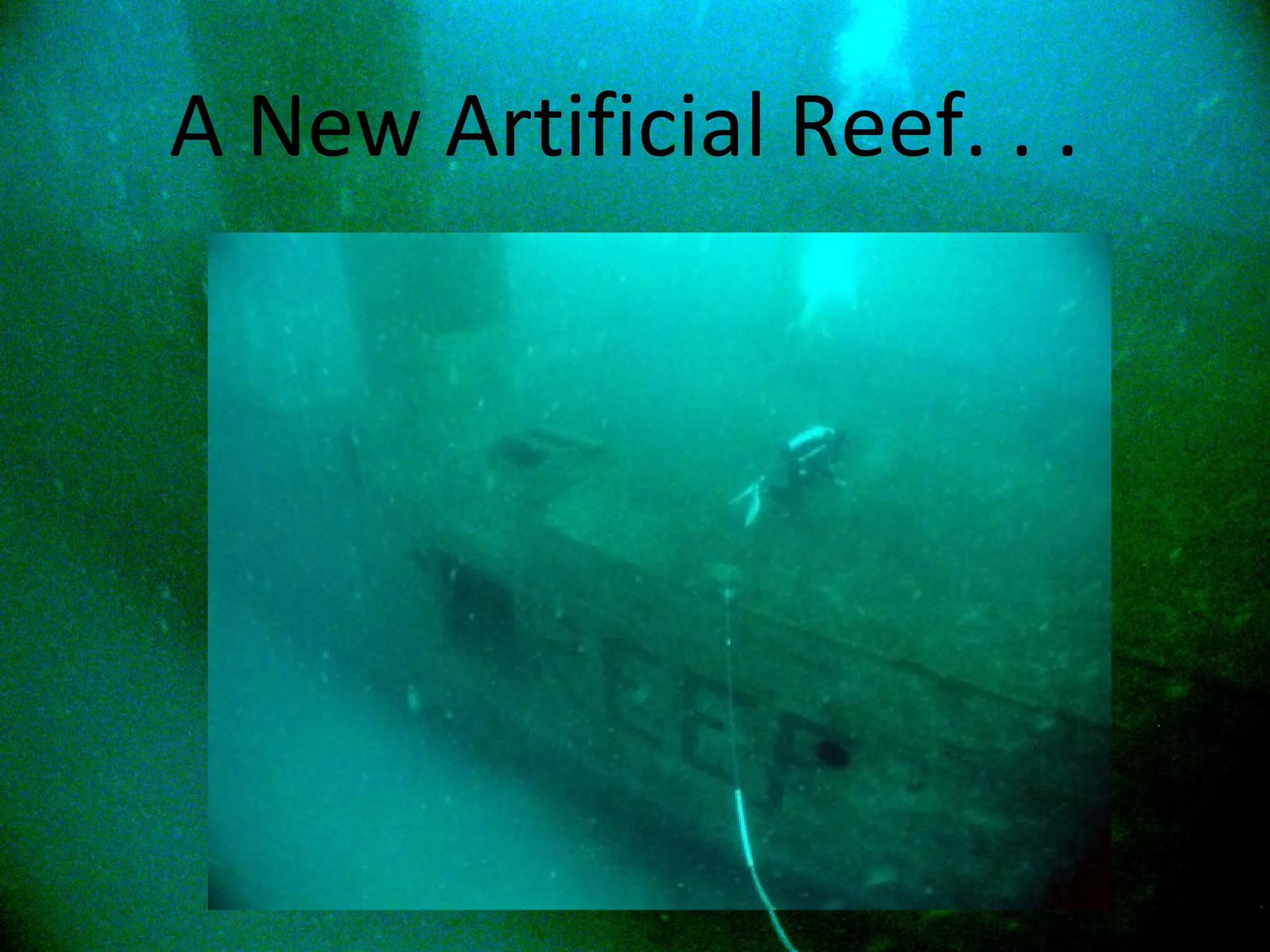 A New Artificial Reef. . .  