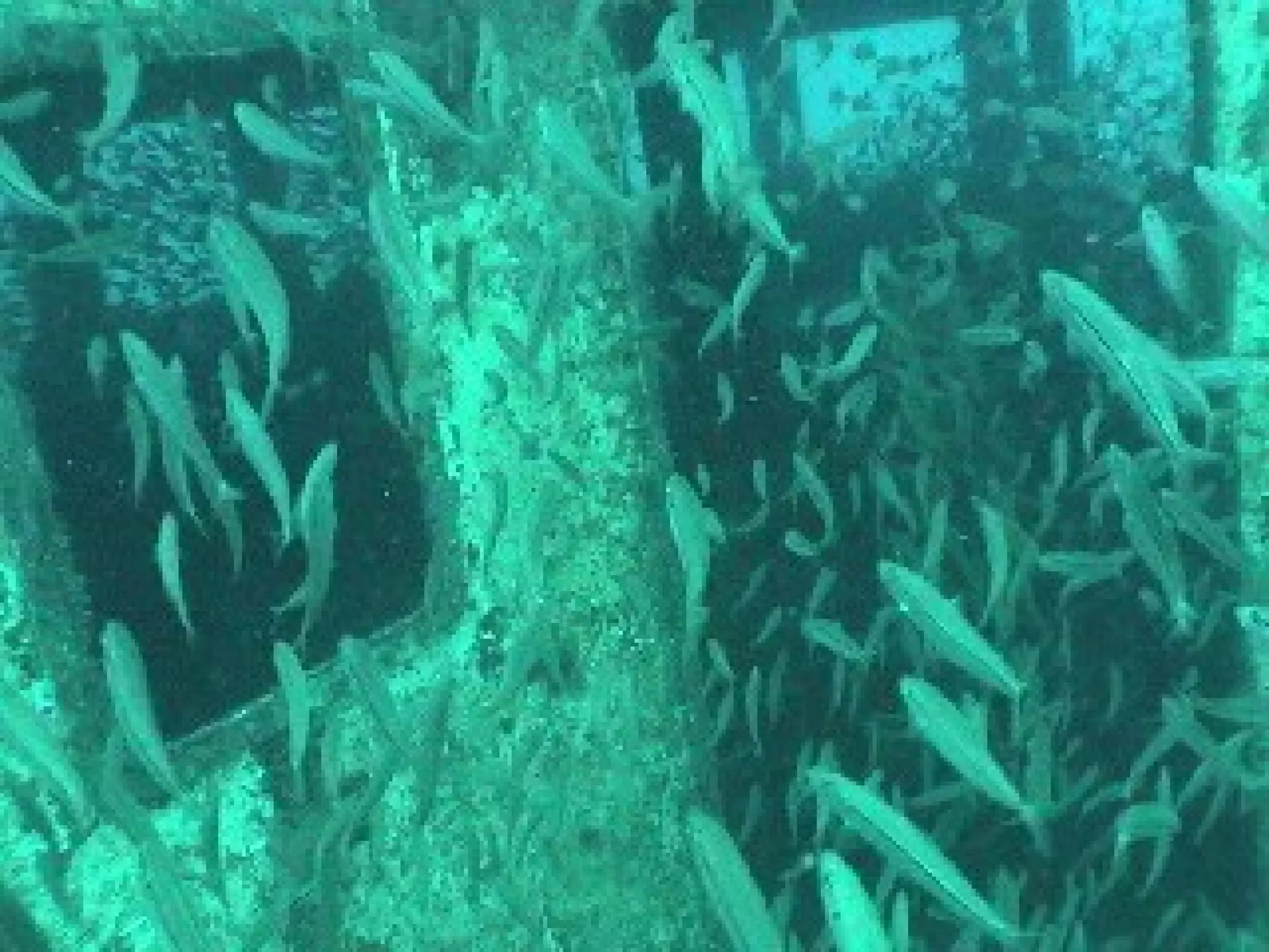 Wickstrom Wheelhouse 