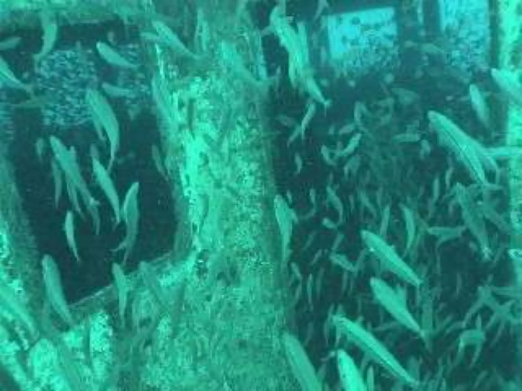 Wickstrom Wheelhouse