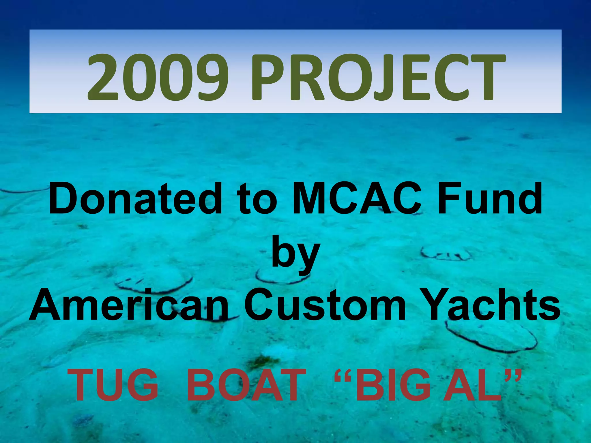 2009 PROJECTDonated to MCAC Fundby American Custom Yachts TUG  BOAT  “BIG AL”
