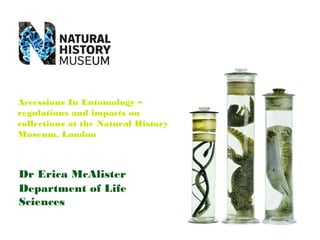 Dr Erica McAlister
Department of Life
Sciences
Accessions In Entomology –
regulations and impacts on
collections at the Natural History
Museum, London
 