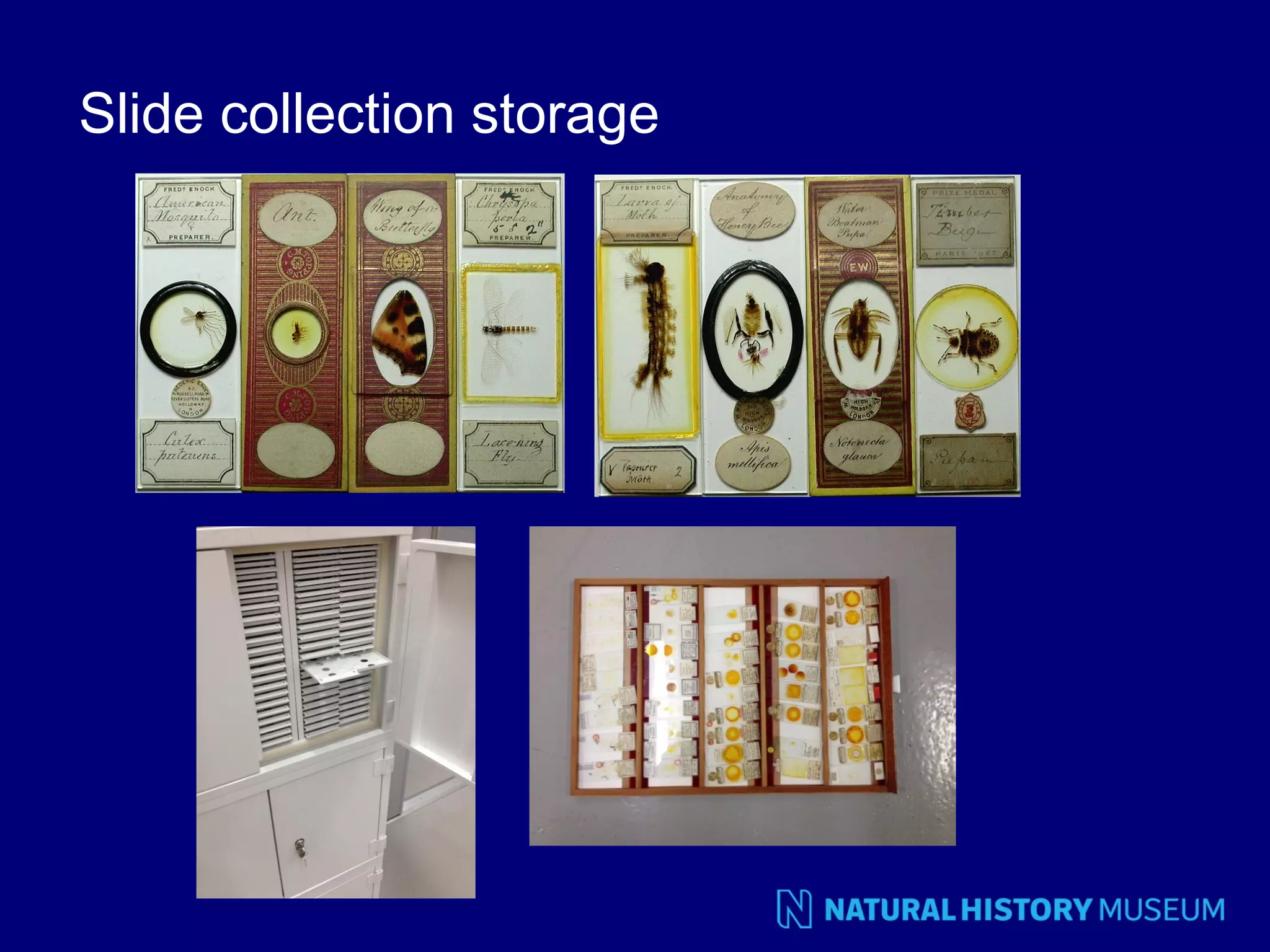 Slide collection storage

 