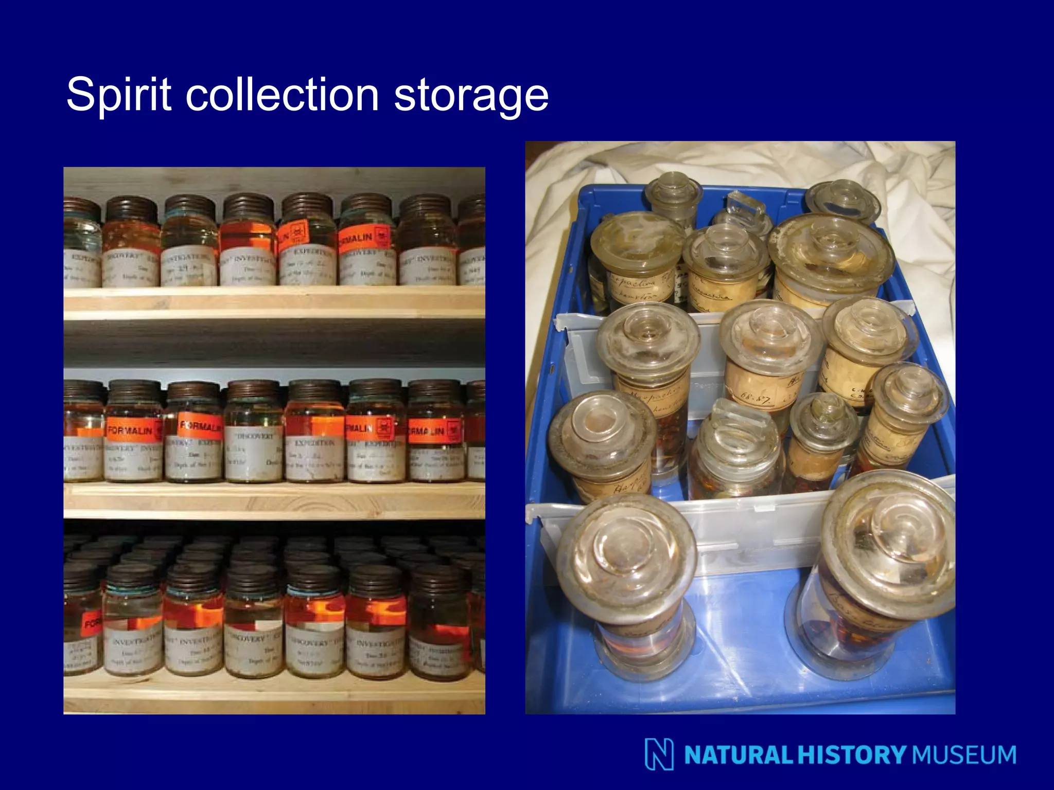 Spirit collection storage

 
