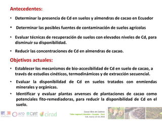 Técnicas para disminuir la disponibilidad de cadmio en suelos de cacaoteras