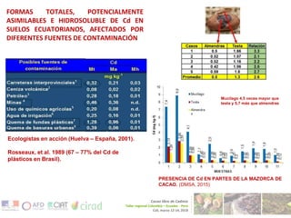 Técnicas para disminuir la disponibilidad de cadmio en suelos de cacaoteras