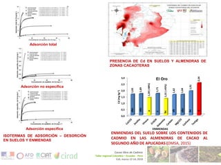 Técnicas para disminuir la disponibilidad de cadmio en suelos de cacaoteras