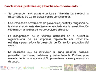 Técnicas para disminuir la disponibilidad de cadmio en suelos de cacaoteras
