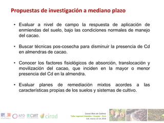 Técnicas para disminuir la disponibilidad de cadmio en suelos de cacaoteras