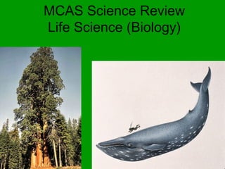 MCAS Science Review
Life Science (Biology)
 