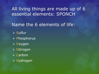 Biology Review | PPTX