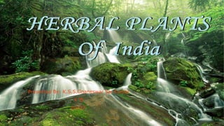 Herbal plants in India
Presented By: K.S.S.Gnaneswar Sai Kumar
X ‘B’
10227
 
