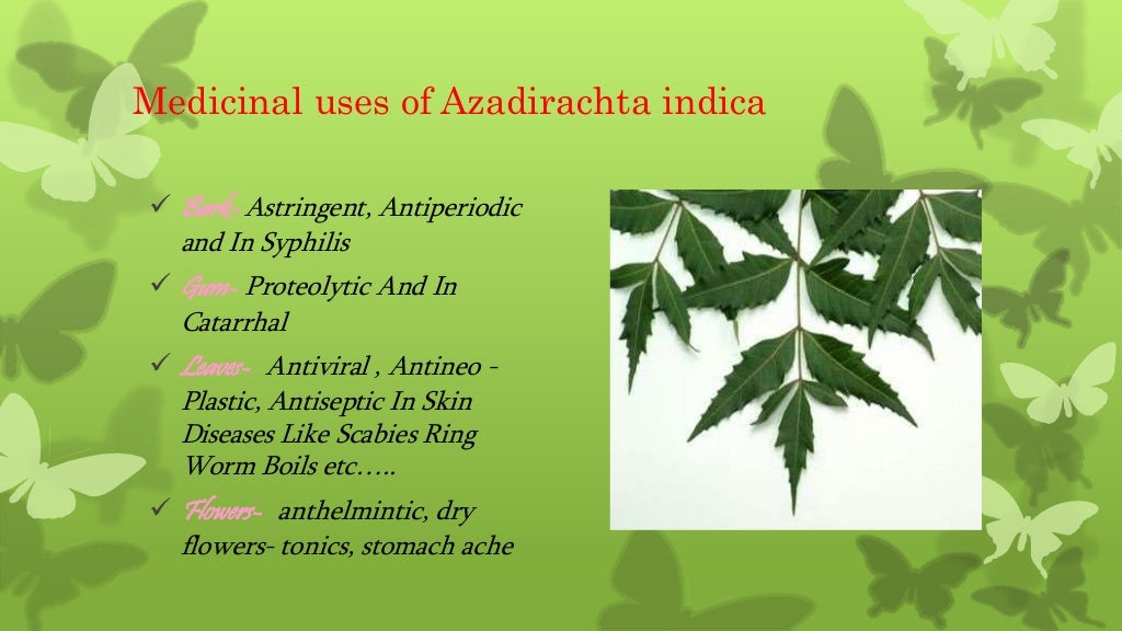 Herbal plants of india