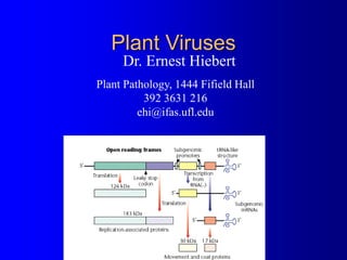 Plant Viruses
Dr. Ernest Hiebert
Plant Pathology, 1444 Fifield Hall
392 3631 216
ehi@ifas.ufl.edu
 