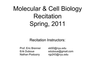 Molecular & Cell Biology
      Recitation
     Spring, 2011

          Recitation Instructors:

  Prof. Eric Brenner   eb50@nyu.edu
  Erik Duboue          eduboue@gmail.com
  Nathan Poslusny      njp243@nyu.edu
 