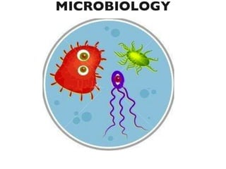 MCB 1 GENERAL  MICROBIOLOGY 