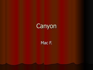 Canyon Mac F. 