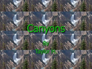 Canyons By Taylor H. 