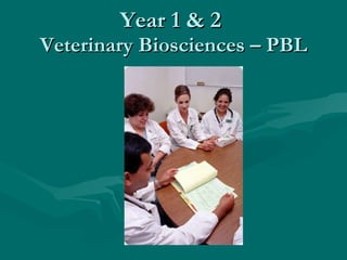 Year 1 & 2  Veterinary Biosciences – PBL 