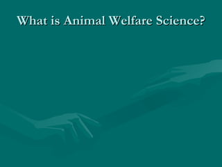 What is Animal Welfare Science? 