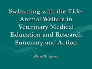 Swimming with the Tide: Animal Welfare in Veterinary Medical Education and Research Summary and Action David B. Morton 
