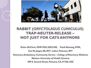 RABBIT (ORYCTOLAGUS CUNICULUS)
TRAP-NEUTER-RELEASE –
NOT JUST FOR CATS ANYMORE
Diane McClure, DVM PhD, DACLAM, Frank Bossong, DVM,
Eva M. Jaeger, BS, RVT, LuAnn Peterson, RVT
Veterinary Ambulatory Community Service - College of Veterinary Medicine
Western University of Health Sciences
309 E. Second Street, Pomona, CA, 91766, USA
 