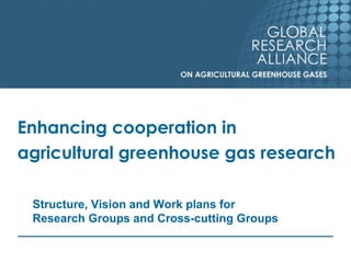 Enhancing cooperation in agricultural greenhouse gas research 
Structure, Vision and Work plans for Research Groups and Cross-cutting Groups  