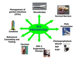 HSV-2 Suppressive therapy Management of genital infections (STIs) Cervical Barriers Male circumcision Chemoprophylaxis MTCTP PEP PrEP Vaccines Condoms HIV PREVENTION Microbicides Behavioral Counseling and Testing 