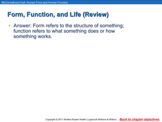 Human Anatomy | PPT