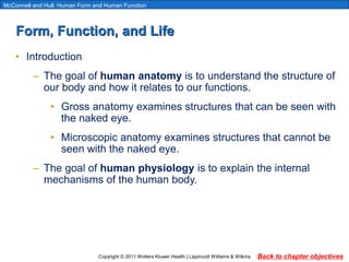 Human Anatomy | PPT