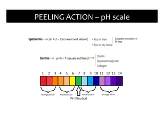 Epidermis pH 4.2 – 5.6 (sweat and sebum) + Acid in men
+ Acid in dry skins
Complete renovation in
21 days
Dermis pH 6 – 7 (vessels and fibers)
Elastin
Glycosaminoglycan
Collagen
PEELING ACTION – pH scale
 