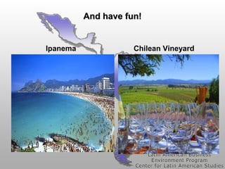 And have fun!

Ipanema

Chilean Vineyard

 